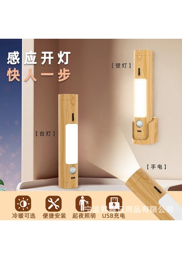 Reedark Akıllı Ev Usb Şarjlı Led Sensör Işığı - 3 Modlu, 5m Algılama, Akıllı Kabin/ofis/el Feneri, 1w Soğuk/ıslak Beyaz Işık Beyaz