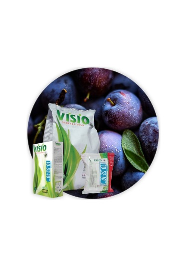 Visio Professional 17-05-24 1 Kg Toz Gübre 1 kg