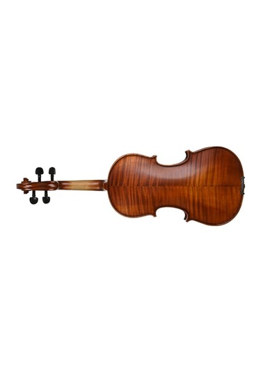Lichtenberg Vf600 Masif Keman