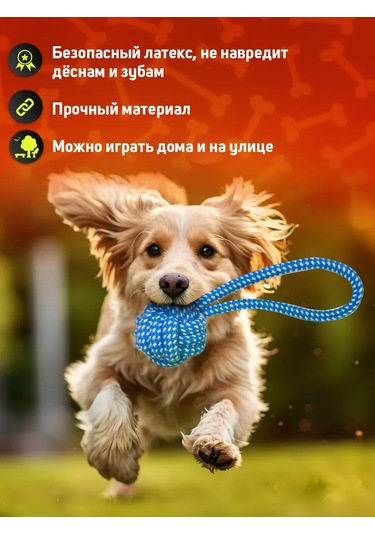 Tooth For Tooth Köpekler İçin Oyuncak Seti 248178972