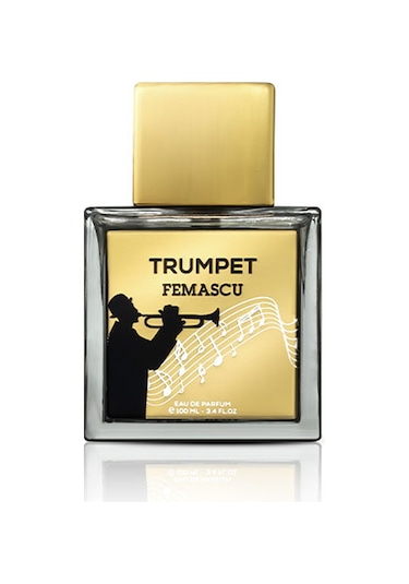 Femascu 6519 Erkek Parfüm EDP 100 ML