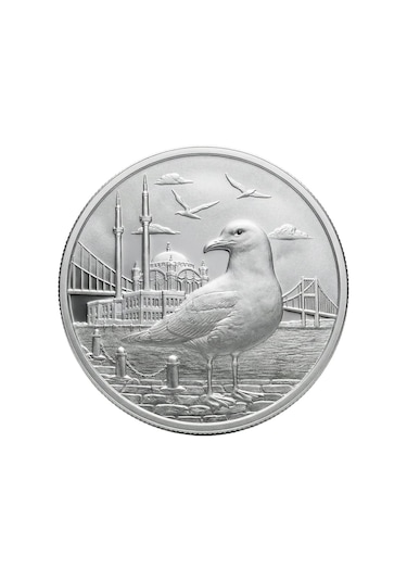 Agakulche İstanbul Martısı Gümüş Sikke Coin