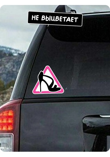 Stadi Diz Üstü Sürüşü İçin Araç Çıkartması "direksiyon Başındaki Kadın" 225169638