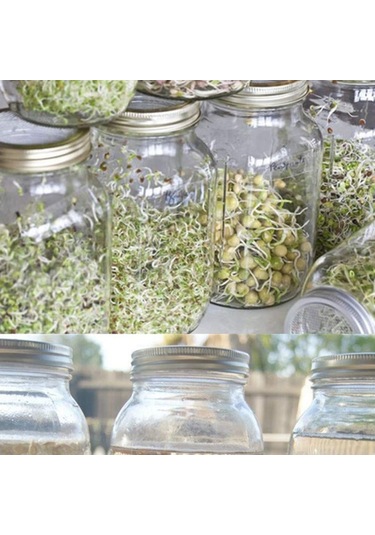 Lebihmurah 3239 Filizlenme Kiti-1 Takım 3 Paket Yuvarlak Bölünmüş Ağ Kapağı Tohum Çimlenme Kapağı Filizlenme Tankı Filtre Kapağı Nefes Alabilen Örgü -