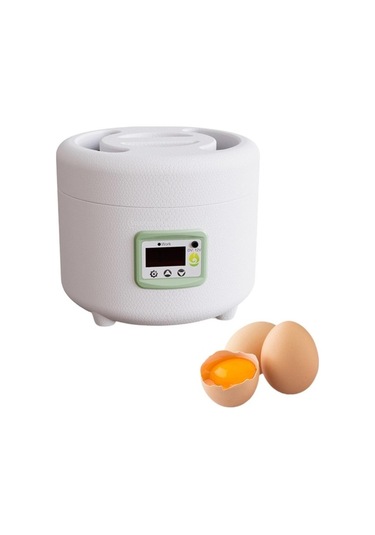 Pazly Yumurta Suntek Otomatik Kuluçka Makinesi Ördek Güvercin Ev Pp