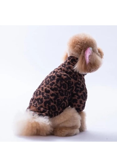 Pawstar Sri Lanka Küçük Irk Köpek Pofuduk Ceketi