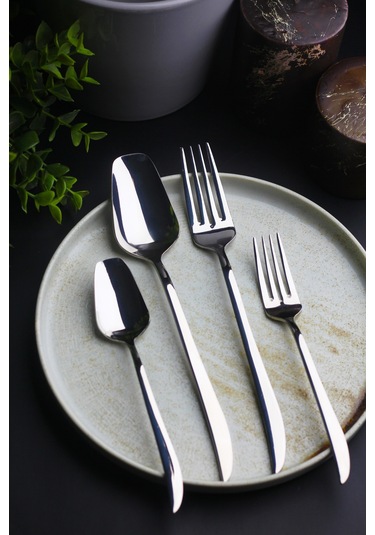 Nirvana 6 Kişilik 24 Parça Çatal Kaşık Takımı Metal