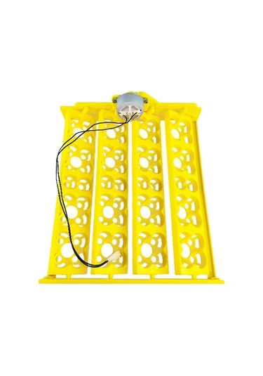 Pazly Yumurta Tavuk Suntek Kuluçka Kaz Için Dc12v Bıldırcın Qz