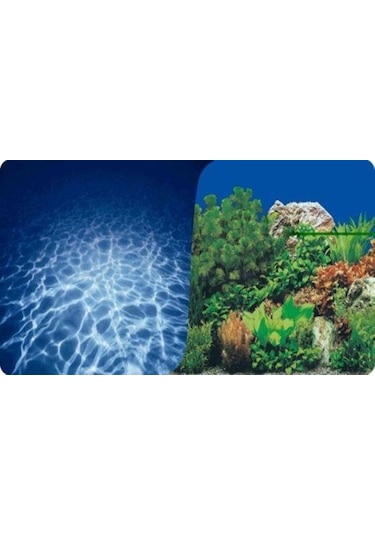 Akvaryum Arka Fon 3 Boyutlu Manzara Çift Taraflı Derinlik ve Bitki