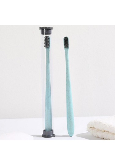 Homyl Kutu Ile 10x Taşınabilir Buğday Samanı Saplı Mavi