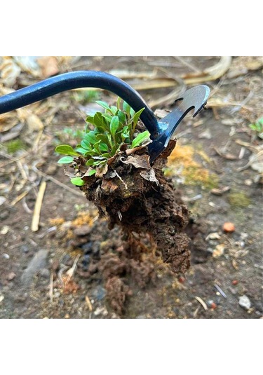 Ruicoo Bahçe Yabani Ot Temizleme Aleti - 4 Dişli Paslanmaz Çelik Çapa & Kazma Aracı