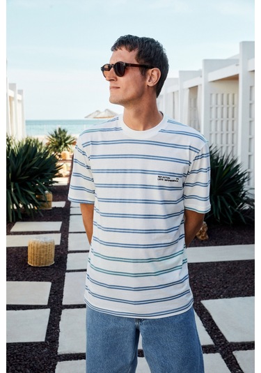 WOODY Erkek %100 Pamuk Nakış Detaylı Bisiklet Yaka Çizgili Regular Fit Beyaz-Mavi Çizgili T-Shirt