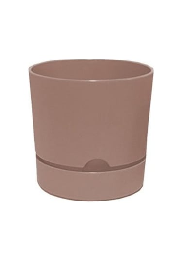 Polıwork Saksı Begonya 18 Cm Krem