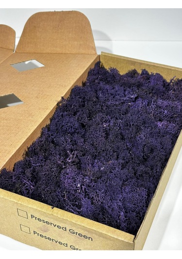 Reindermoss Şoklanmış Norveç Yosunu Terarium Yosunu Mor 500 Gr.