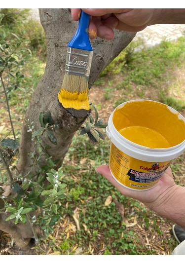 Ağaç Ve Fidan Aşı Macunu - Budama Macunu 450 Gr.