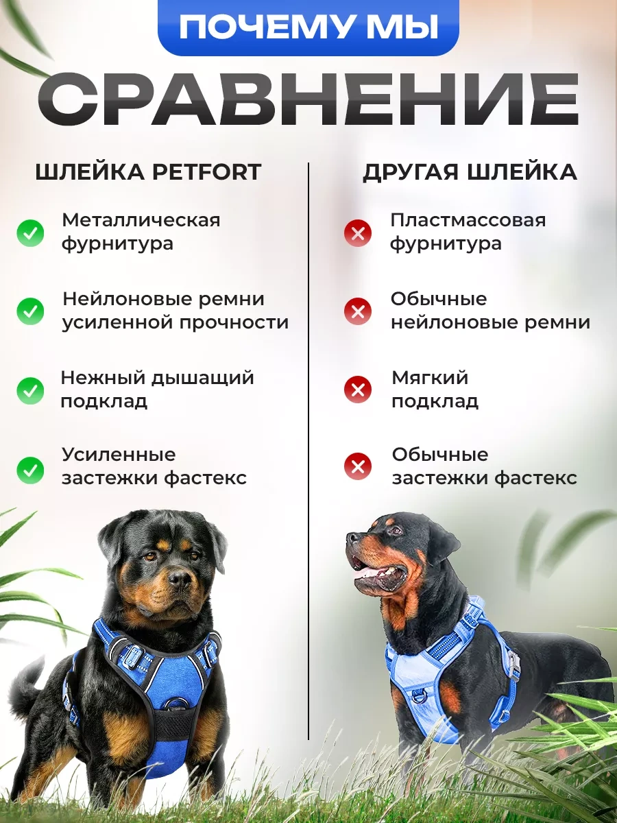 Petfort Orta Ve Büyük Irk Köpekler İçin Anatomik Koşu Kayışı 175517317 Mavi