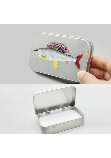 Dolıty Sinekler Depolama Kutusu Sınıflandırılmış Küçük