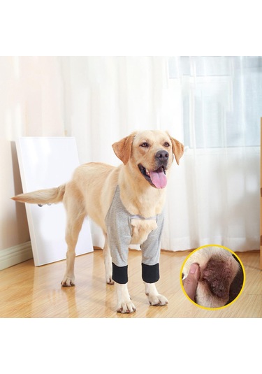 Homyl Köpek Dizlik Bacak Koruyucu Bileklik Köpekler L-gri