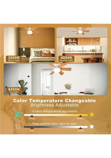 Neevoyu 2-in-1 Fenerli Vantilatör, 3 Hızlı Fan, 10-100% Parlaklık Ve 3 Renk Tonu Ayarı, Kumandalı, 85-265v, 6 Blades Pil Yok