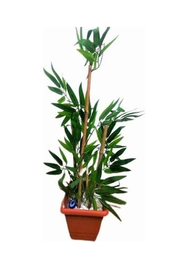 Saksıda Yapay Bambu Ağaç Çiçek Süs Bitki Dekorasyon