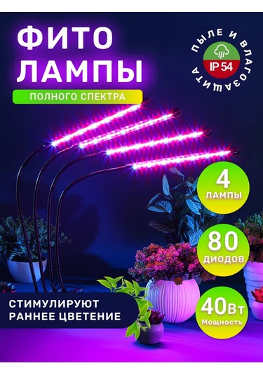 Miland Bitkiler Ve Fideler İçin Fitoluk 205302402 Violet