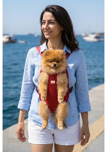 Kedi Ve Köpekler İçin Anakucağı S 5975