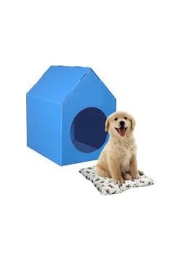 Su Geçirmez Plastik Kedi ve Köpek Evi