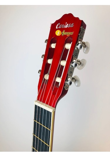 Carissa Cg-160 Tam Boy Sap Ayarlı Gitar