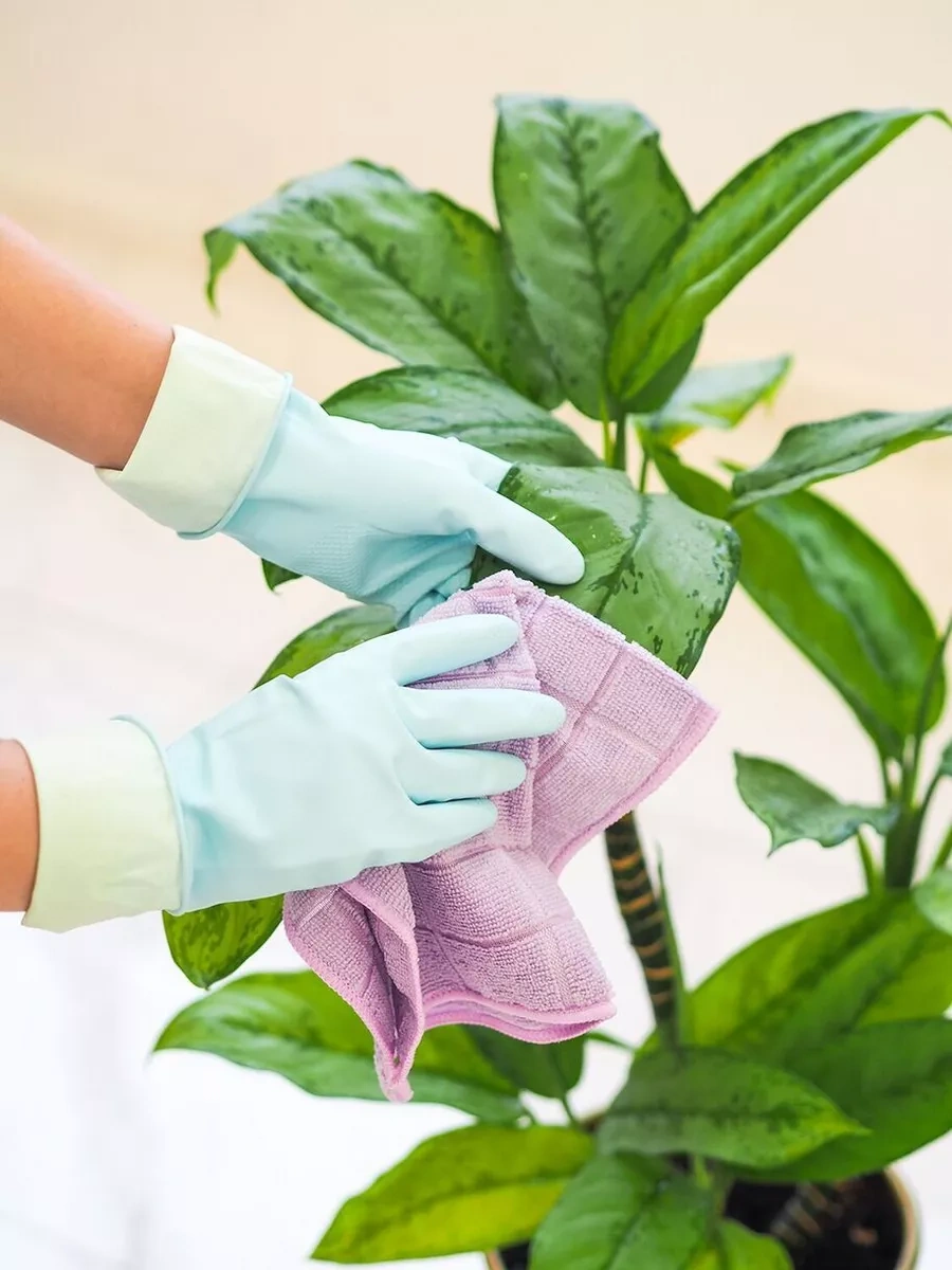 Mainstream Home Temizlik İçin Lateks Ev Eldivenleri 247302167