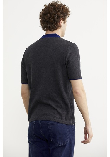 Pamuk Polo Yaka Kısa Kol Triko Tişört - Antrasit Antrasit