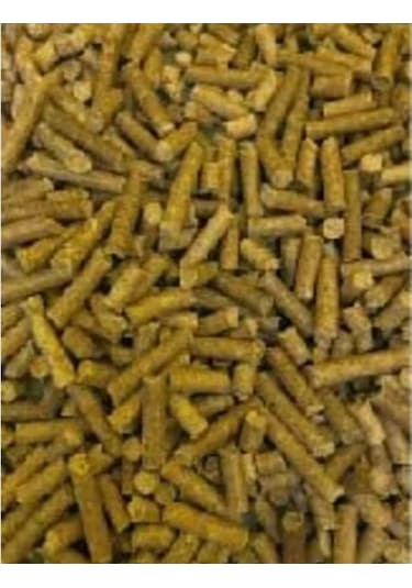 Catper Doğal Çam Peleti 20 KG