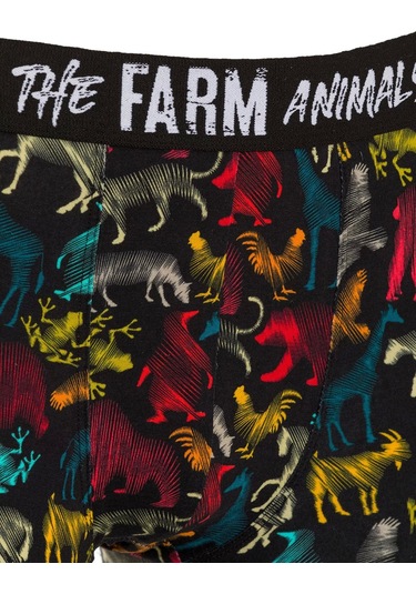 Farm Animals All Animals Desenli Boxer Çok Renkli