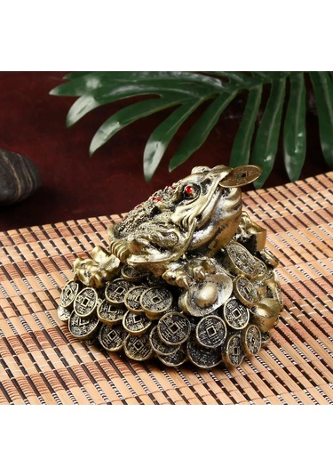 Simalend Para Kertenkeleleri 177163897