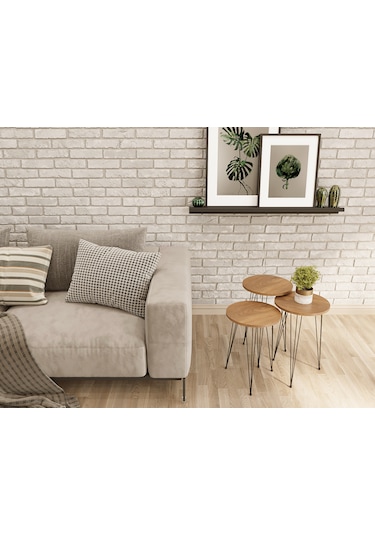 Zigon Sehpa 3'lü Yuvarlak Siyah Tel Ayaklı Ceviz