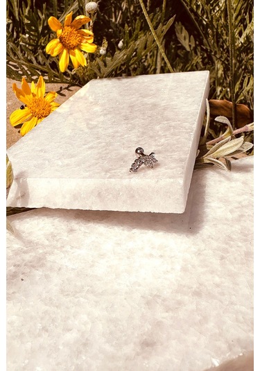 Star Sıra Yıldız Tasarım Zirkon Taşlı Şık Gümüş Renk Çelik Piercing Tragus Helix Stainless Steel Gümüş