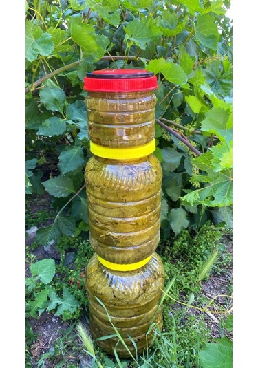 Tokat Salamura Asma Yaprağı 3 Kg.