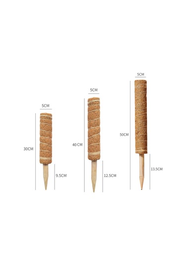 Padalink Bitkisel Tüp İçin 30cm Yüksekliği Ayarlanabilir, Su Ve Besin Tutan, Dayanıklı Hindistan Cevizi Lifli Ve Ahşaplı Tırmanan Bitki Tutucu Seti