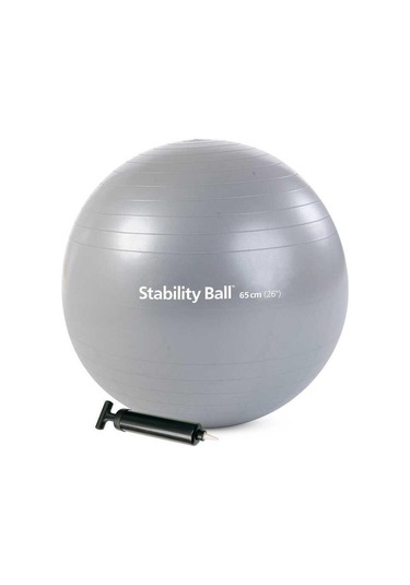 Merrithew Health & Fitness Stability Ball - 65cm Withpump Silver Cn St-06207