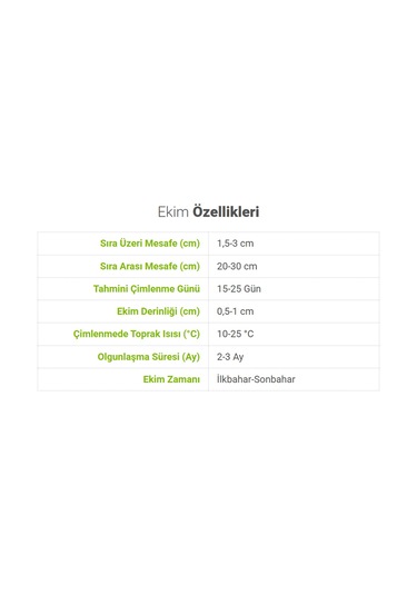 Bykurt Sunagri Maydanoz Tohumu - Geniş Yapraklı Yüksek Aromalı Taze Tüketim İçin İdeal Maydonoz