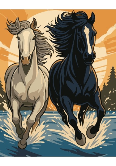 Denic Sayılarla Boyama Seti 40x50 Cm (Çıtalı) Fırça Boya Dahil Numaralı Tuval Beyaz ve Siyah At