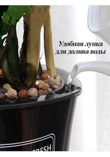 Saburg Fitil İle Otomatik Sulamalı Orkide Saksısı, 3 Adet, 0,8l 12416197