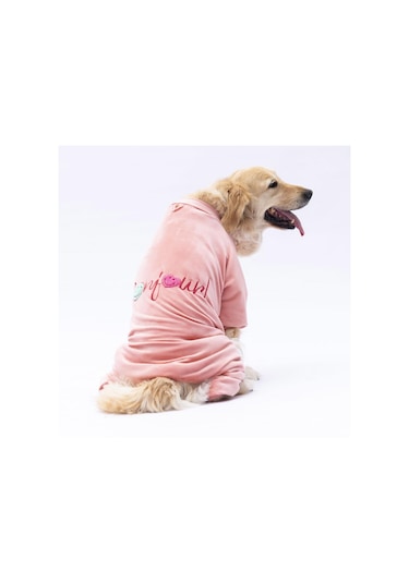 Rose Angers Büyük Irk Köpek Tulum-köpek Kıyafeti