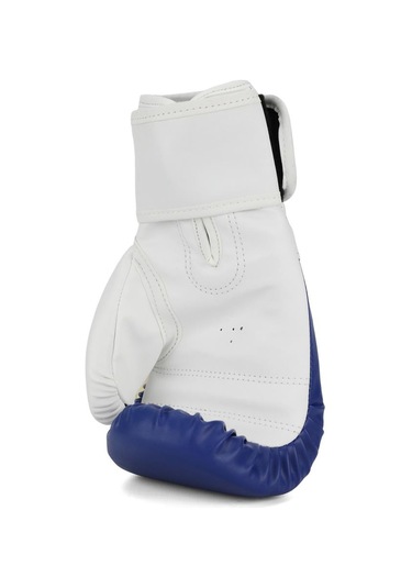 Titan Sport Mavi Beyaz Kurukafa Desenli Boks Eldiveni 2'li Set Çok Renkli