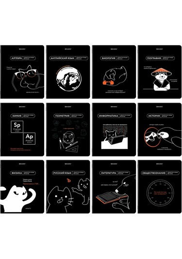 Brauberg Siyah-beyaz, Kırışık, 48 Yapraklı, Kareli Ve Çizgili, 12'li Seti 12 Adet Defter 377700377