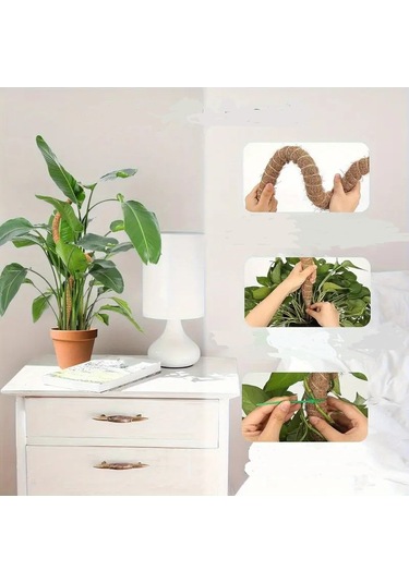 Bitki Tırmanma Braketi Sarmaşık Ve Çiçekler İçin Dayanıklı Destek Aparatı