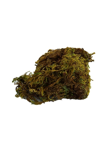 Yosun Su Yosunu Doğal 100 Gr Paket