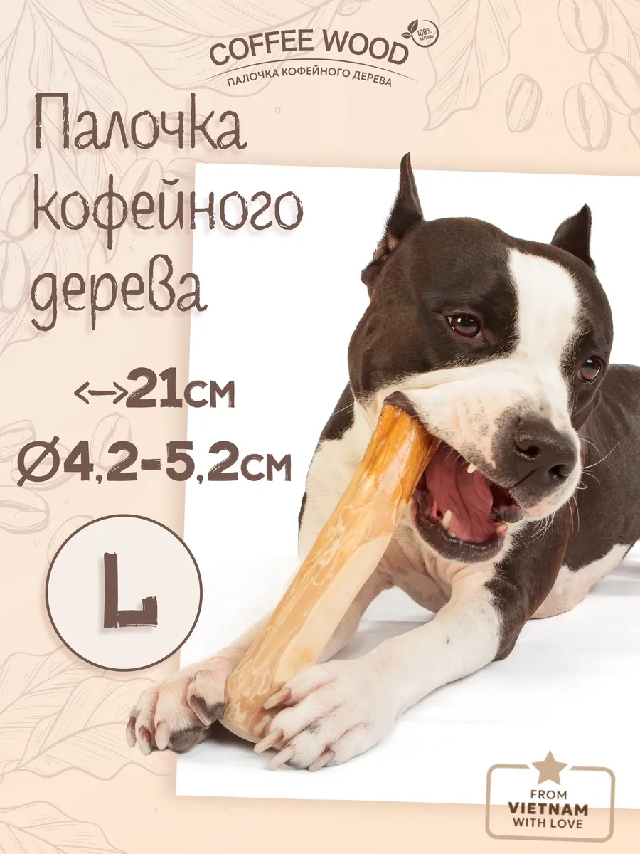 Coffee Wood L Kafes Ağacı Çubuğu 103753783