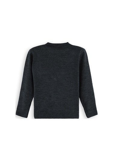 Denokids Hayvanlar Erkek Çocuk Triko Kazak Renkli