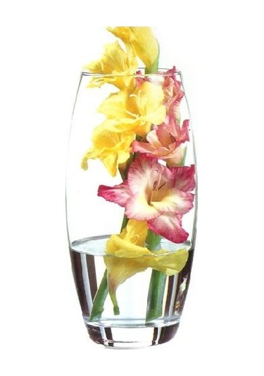 Paşabahçe 43966 Botanica Cam Vazo 26x8 Cm