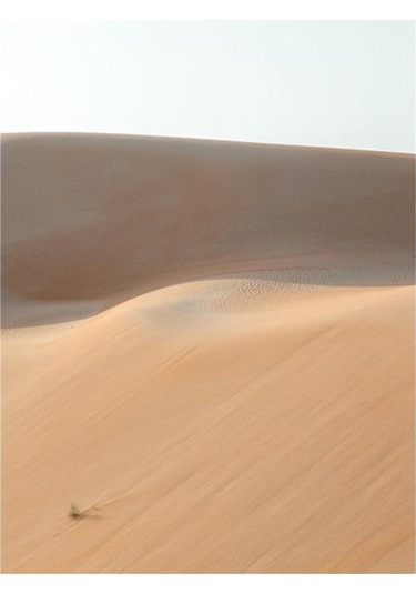 Homyl 1 Parça Doğa Manzara Tuval Duvar Sanatı Ev Çöl